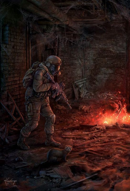 STALKER  (25 )
