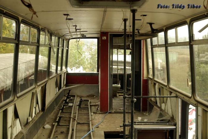 Ikarus 695 -  ,        (10 )