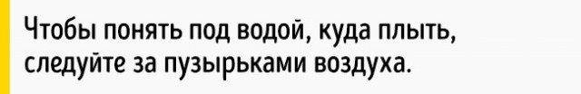 Как выбраться из тонущей машины (8 фото) Как выбраться из тонущей машины (8 фото)