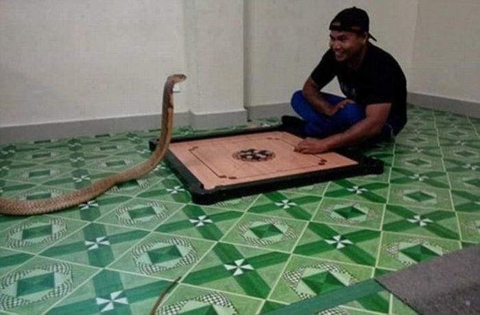    ,      (5 )