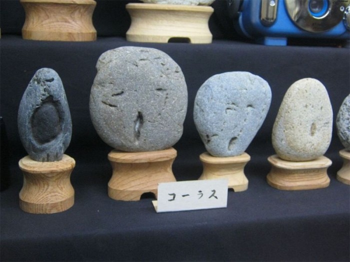       (10 )