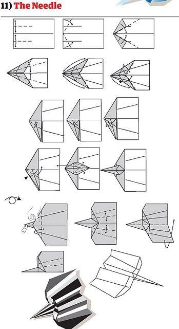   (13 )
