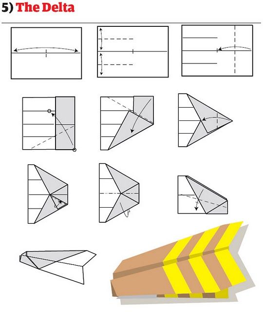   (13 )
