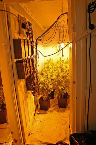         (9 )