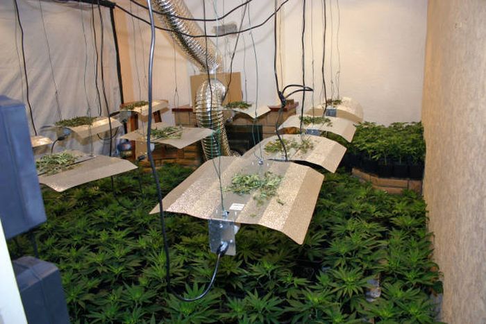         (9 )