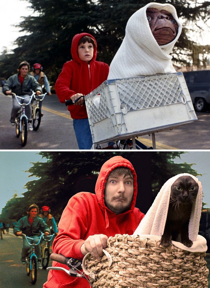              (5 )