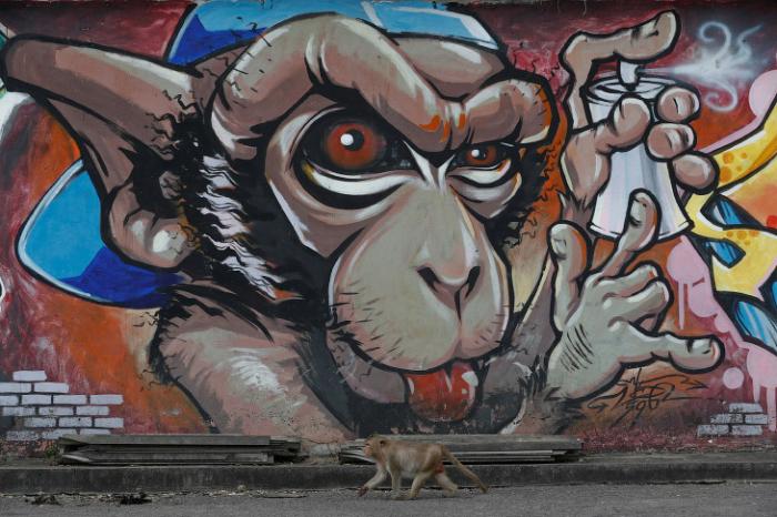 Monkey Buffet Festival:    (22 )