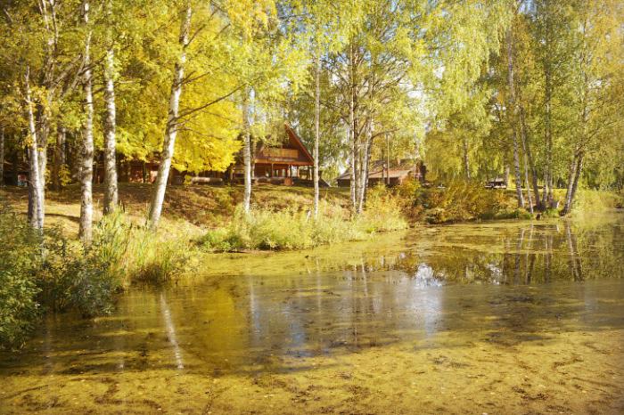 Музей деревянного зодчества «Костромская слобода» (33 фото) Музей деревянного зодчества «Костромская слобода» (33 фото)