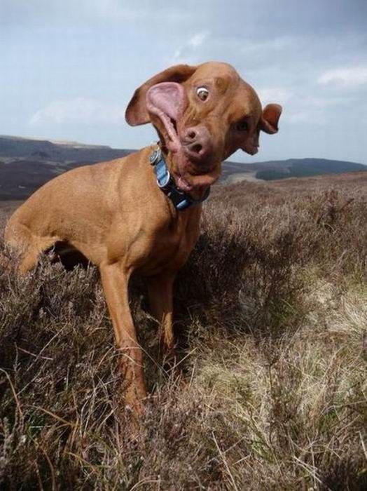   (80 )