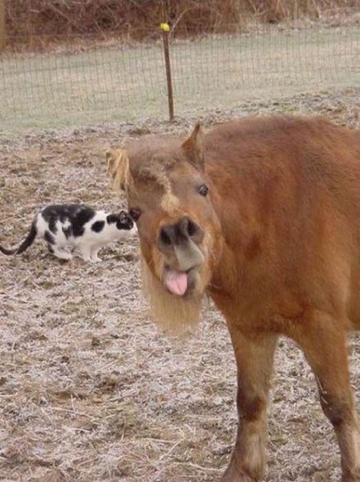   (80 )