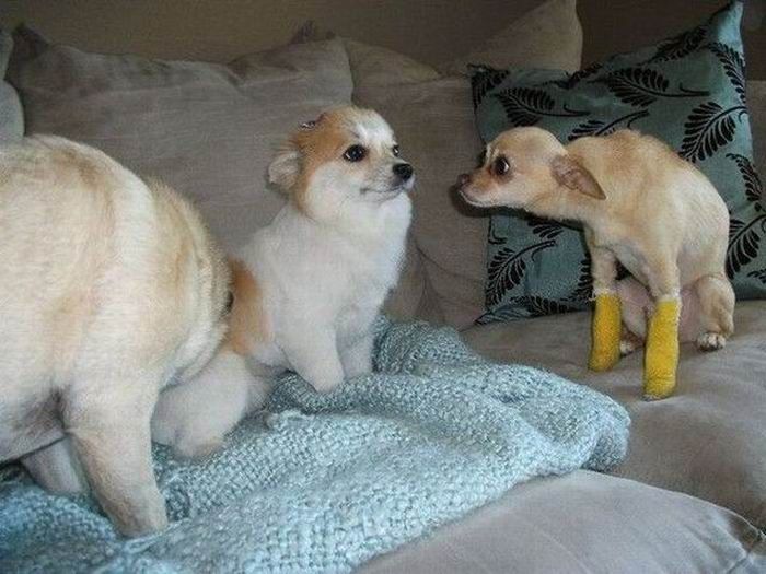   (80 )