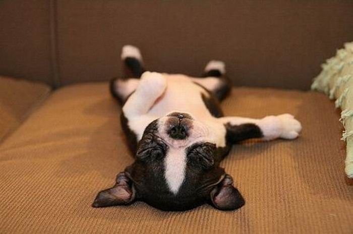   (80 )
