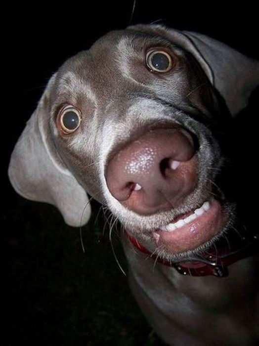   (80 )