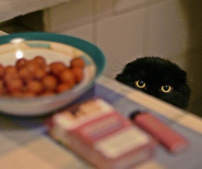   (80 )