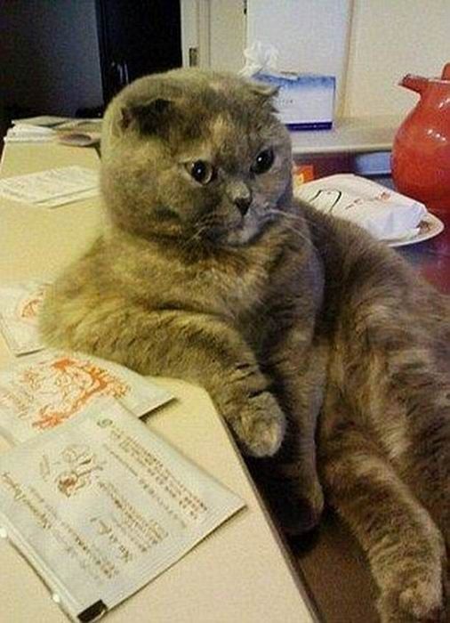   (80 )