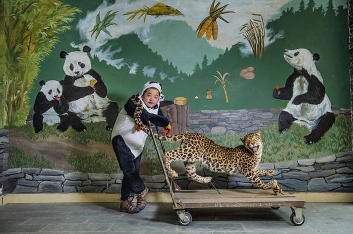    National Geographic 2016  (43 )