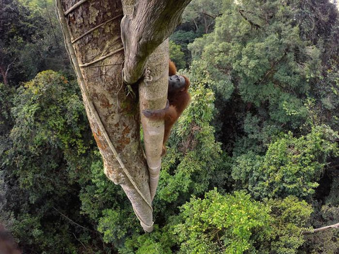    National Geographic 2016  (43 )
