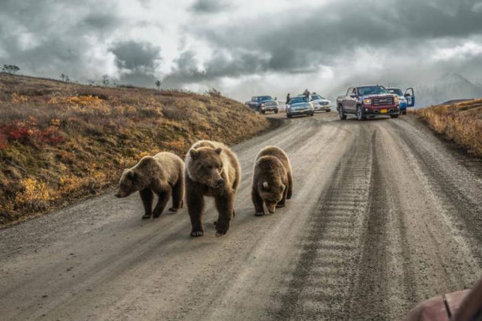    National Geographic 2016  (43 )