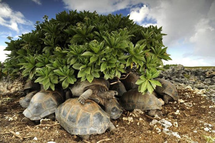    National Geographic 2016  (43 )
