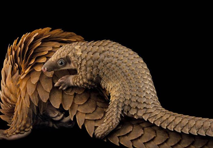    National Geographic 2016  (43 )