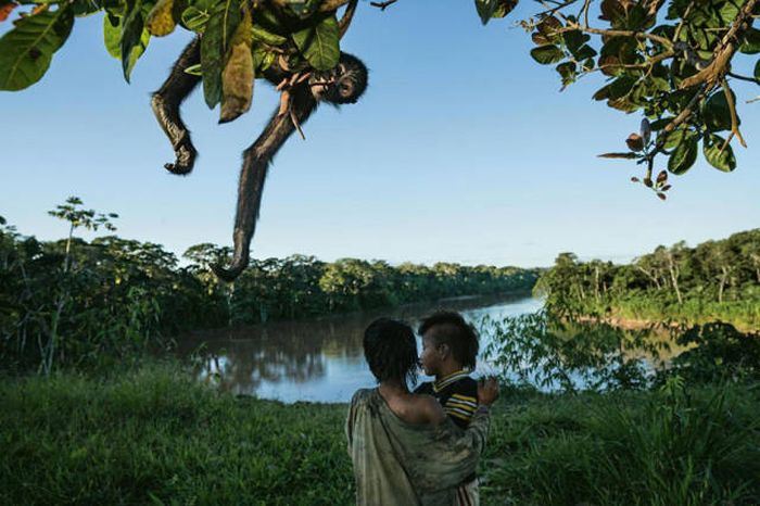    National Geographic 2016  (43 )