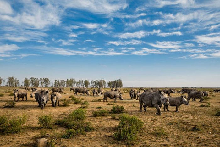    National Geographic 2016  (43 )