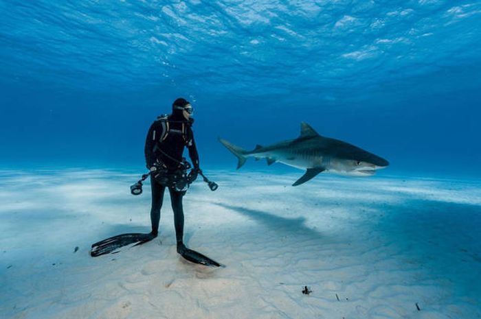    National Geographic 2016  (43 )
