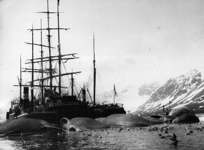 Подборка редких фотографий со всего мира (15 фото) Подборка редких фотографий со всего мира (15 фото)