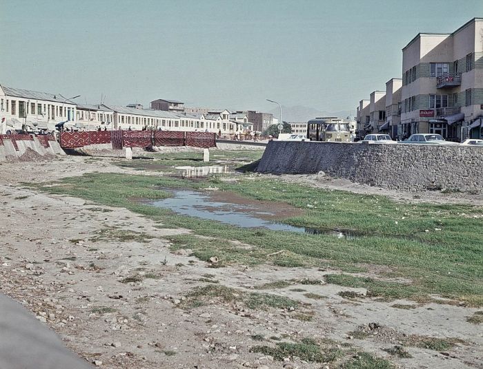   1969 - 1974  (37 )
