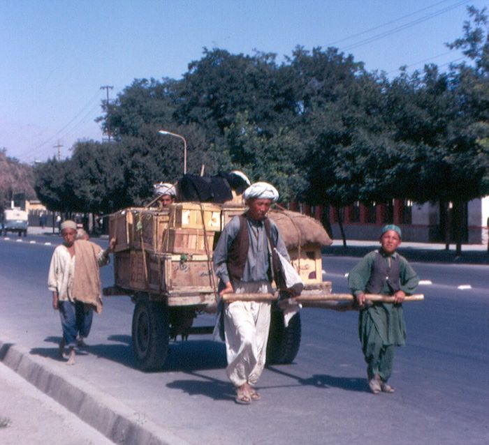   1969 - 1974  (37 )