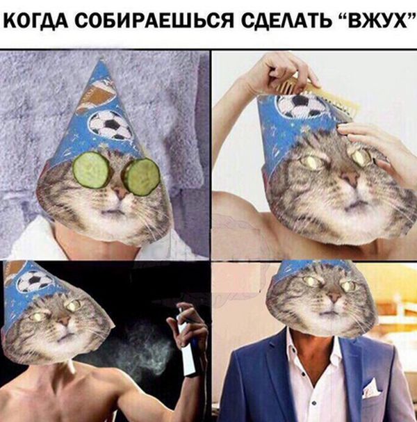 Кот-волшебник стал мемом «Вжух» (11 фото) Кот-волшебник стал мемом «Вжух» (11 фото)
