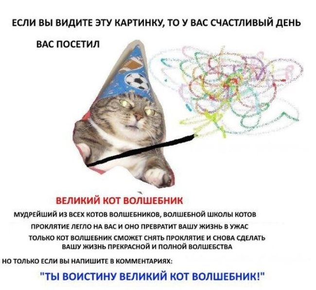 -    (11 )