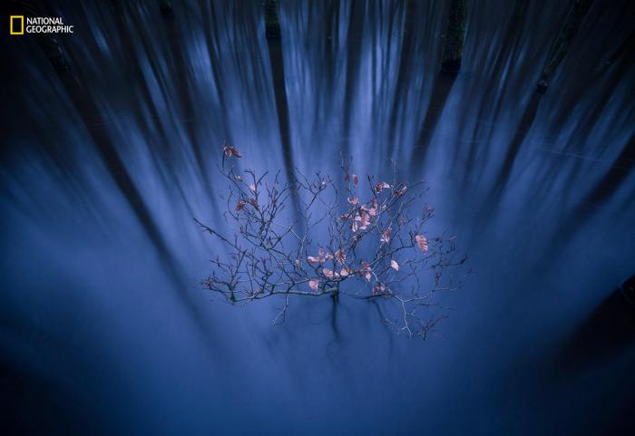 National Geographic:    2016 (17 )