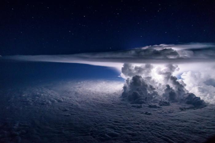 National Geographic:    2016 (17 )