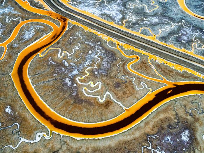 National Geographic:    2016 (17 )