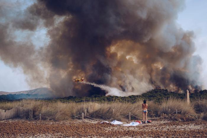 National Geographic:    2016 (17 )