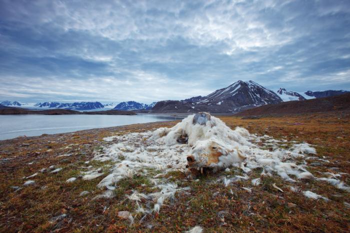 National Geographic:    2016 (17 )