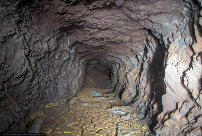 Уникальная экспедиция в провальную воронку «Гнездо дракона» (24 фото) Уникальная экспедиция в провальную воронку «Гнездо дракона» (24 фото)