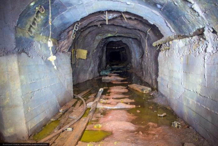 Уникальная экспедиция в провальную воронку «Гнездо дракона» (24 фото) Уникальная экспедиция в провальную воронку «Гнездо дракона» (24 фото)