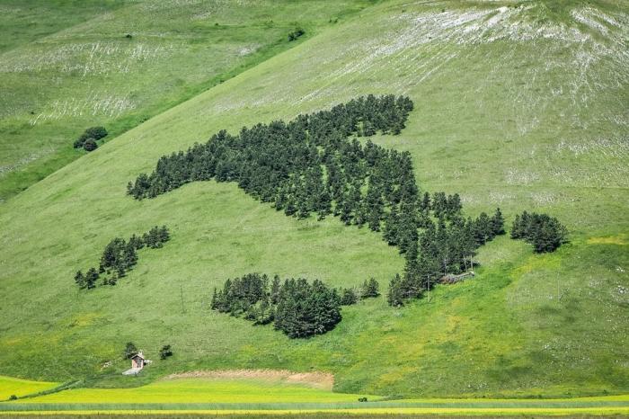 Монументы, которые вырабатывают кислород (6 фото) Монументы, которые вырабатывают кислород (6 фото)