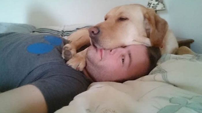 ,       (24 )