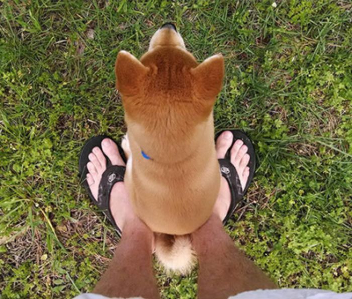 ,       (24 )