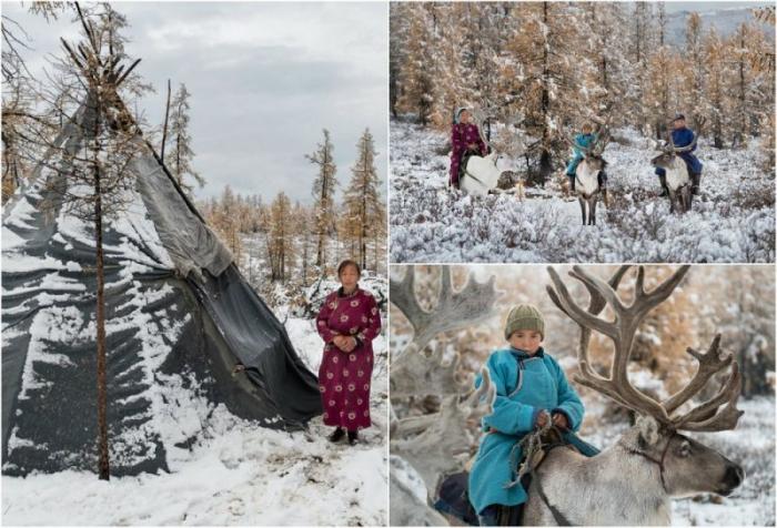 Три дня в семье монгольских оленеводов (16 фото) Три дня в семье монгольских оленеводов (16 фото)