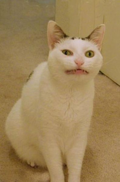   (60 )