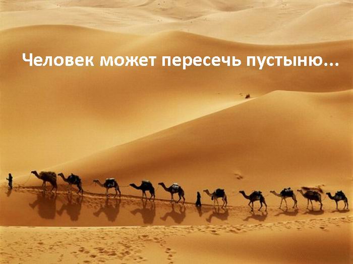 Парадокс человечества (7 фото) Парадокс человечества (7 фото)