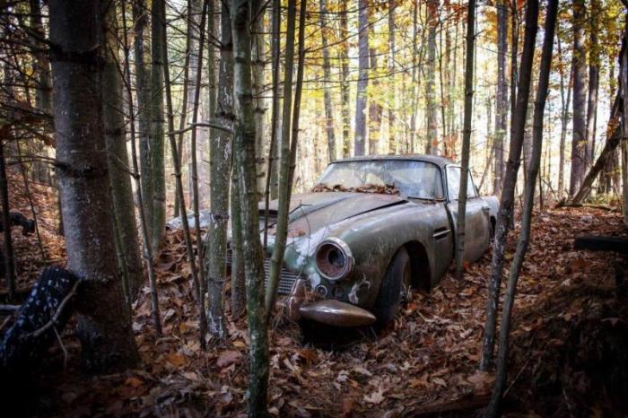 Aston Martin, 50 лет простоявший в лесу, будет продан за 430 000 долларов (8 фото) Aston Martin, 50 лет простоявший в лесу, будет продан за 430 000 долларов (8 фото)