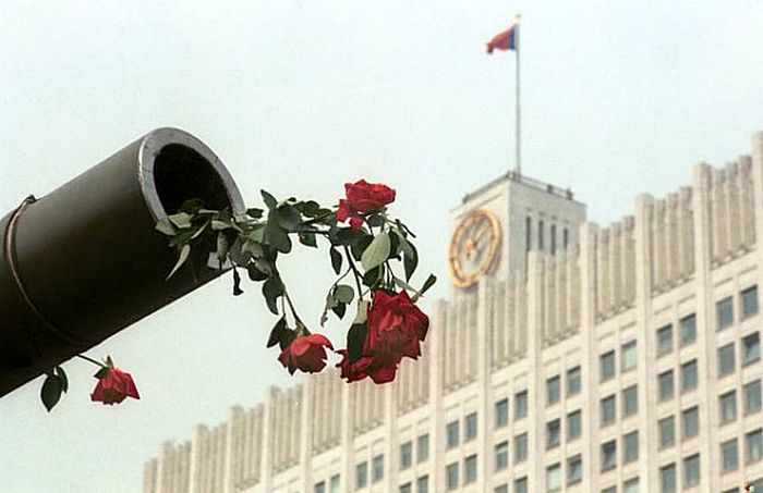 1991 -     (50 )