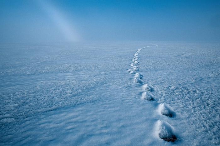 Ледяная красота Пола Никлена (27 фото) Ледяная красота Пола Никлена (27 фото)