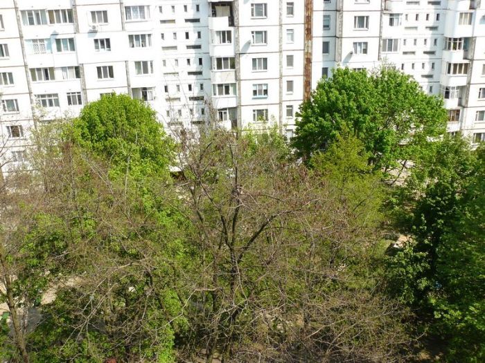 Занимательное соседство (5 фото) Занимательное соседство (5 фото)
