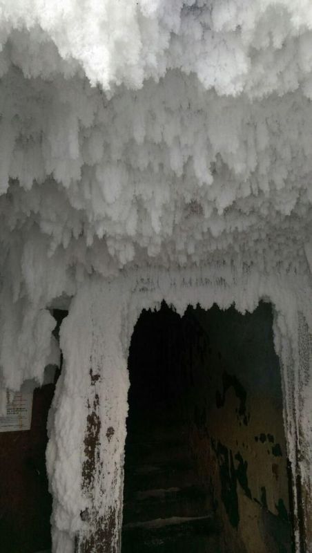     (4 )